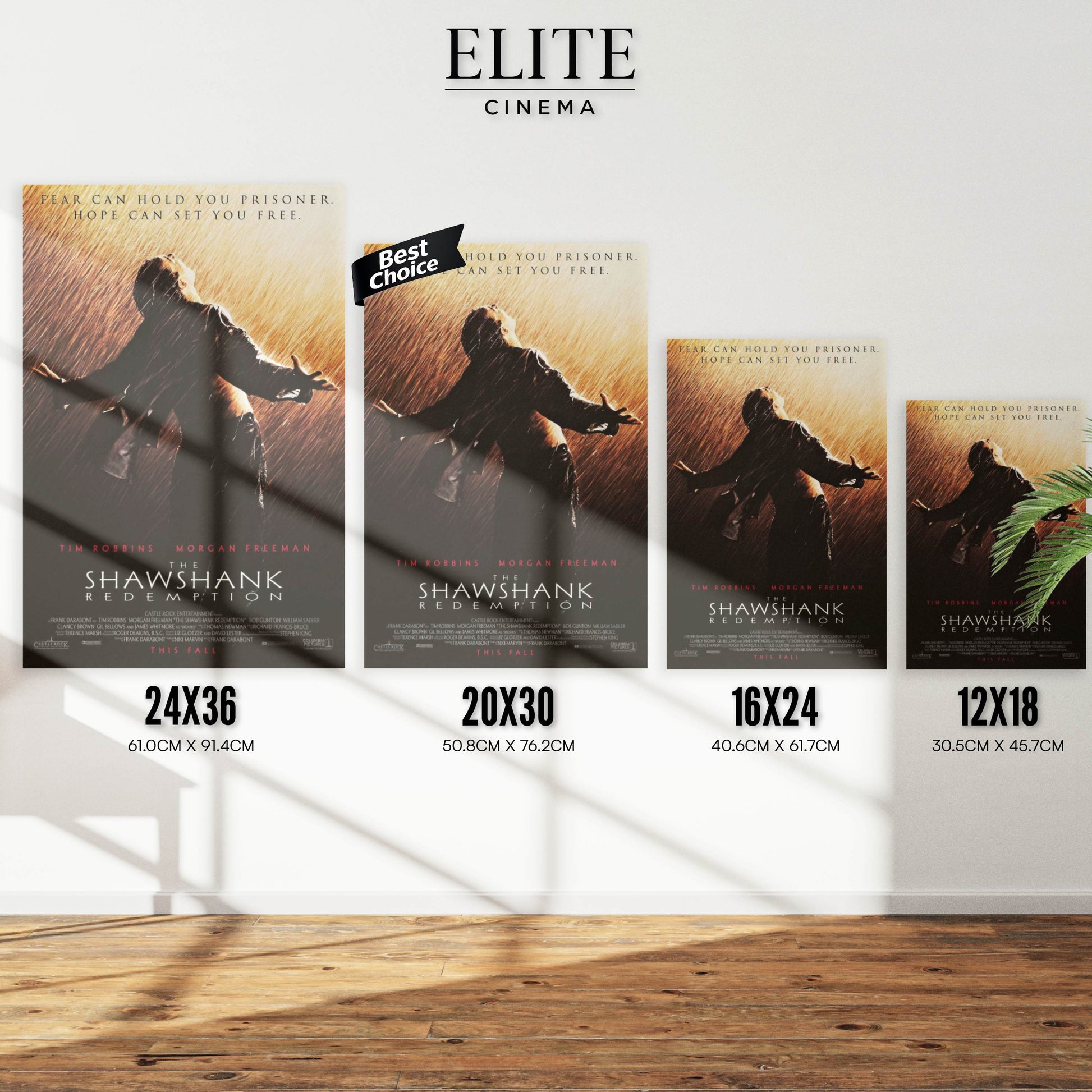 Shawshank Redemption - Movie Cover EliteCinema